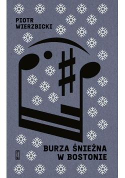 Burza śnieżna w Bostonie