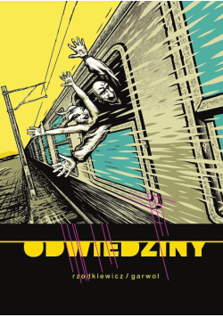 Odwiedziny