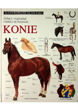 Ilustrowane słowniki. Konie