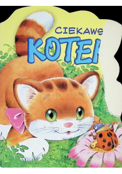 Ciekawski kotek