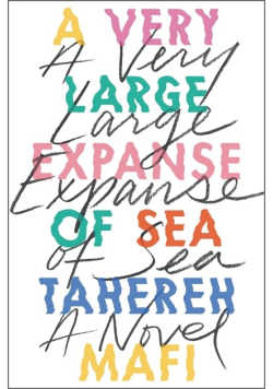 A very large expanse of sea