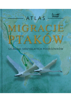 Migracje ptaków Szlakami skrzydlatych podróżników