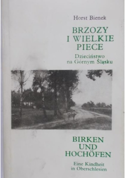 Brzozy i wielkie piece