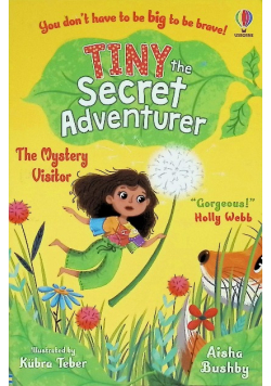 Tiny the Secret Adventurer