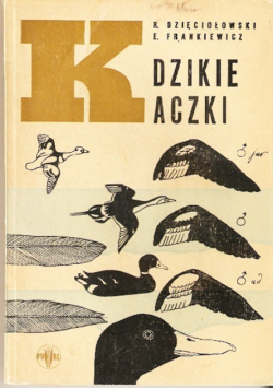 Dzikie kaczki