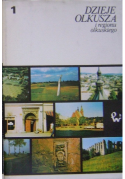 Dzieje Olkusza i regionu okulskiego Tom I