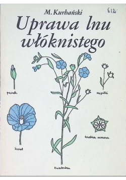 Uprawa lnu włóknistego