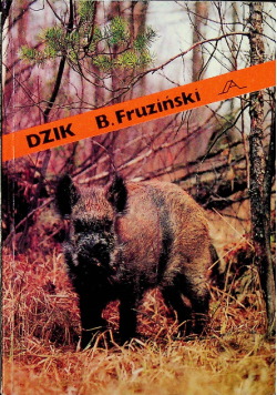 Dzik