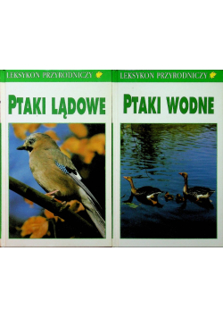 Ptaki wodne Ptaki lądowe