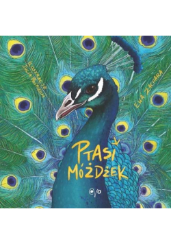 Ptasi móżdżek
