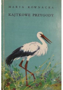 Kajtkowe przygody