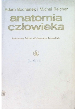 Anatomia człowieka