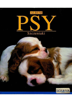 Psy szczeniaki