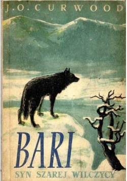 Bari Syn szarej wilczycy