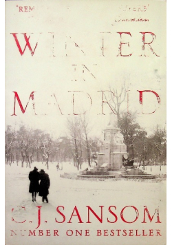 Winter in Madrid