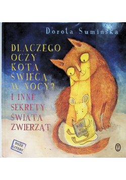 Dlaczego oczy kota świecą w nocy