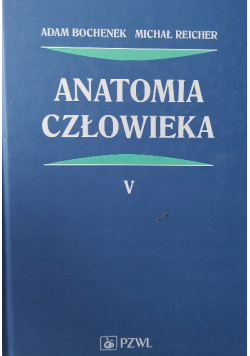 Anatomia człowieka Tom 5