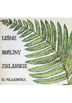 Leśne rośliny zielarskie