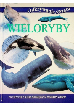 Odkrywanie świata Wieloryby