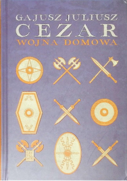 Wojna domowa