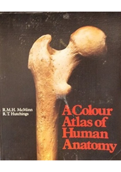 Color Atlas of Human Anatomy