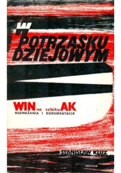 W potrzasku dziejowym