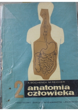 Anatomia człowieka 2