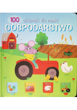 100 Okienek do nauki Gospodarstwo