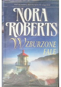Wzburzone fale
