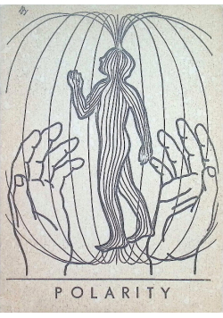 Polarity