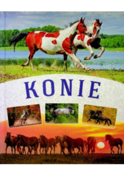 Konie