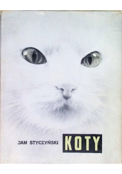 Koty
