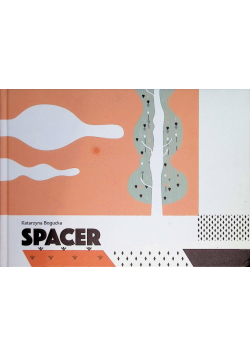 Spacer