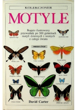 Kolekcjoner Motyle