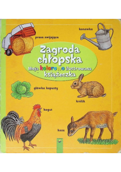 Zagroda chłopska moja kolorowo