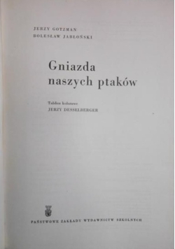 Gniazda naszych ptaków
