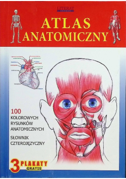 Atlas anatomiczny