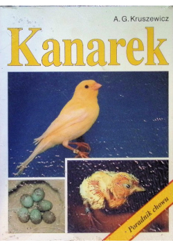 Kanarek