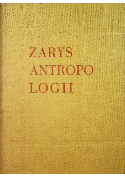 Zarys Antropologii