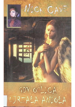 Gdy Oślica Ujrzała Anioła
