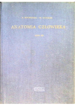 Anatomia człowieka Tom VII