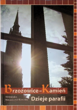 Brzozowice - kamień