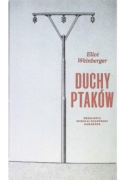 Duchy ptaków