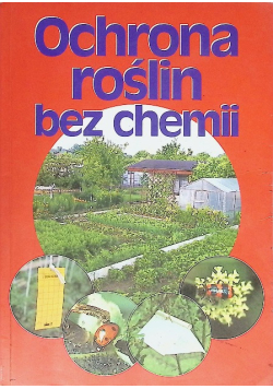Popołudnia jak gorzka czekolada