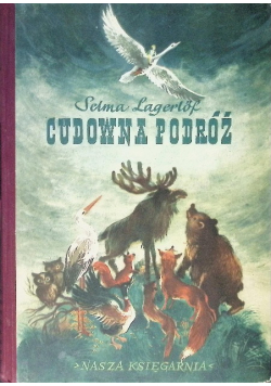 Cudowna podróż