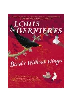 Brids without Wings