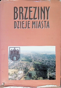 Brzeziny dzieje miasta