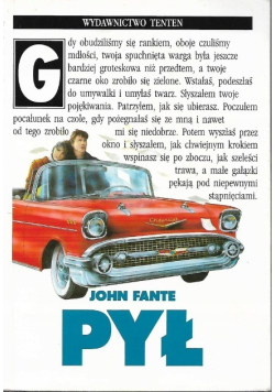 Pył