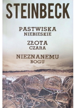 Pastwiska niebieskie Złota czara Nieznanemu bogu