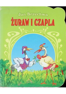 Żuraw i czapla